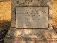 1-03 Désy Zoltán